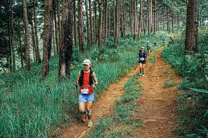 BIB: 
                            <button type="button" onclick="openModal(25709832)" class="btn btn-primary btn-sm float-right btn-popup" data-toggle="modal" data-target=".modal-high-quality">
                        <i class="fas fa-shopping-cart"></i> Add to Cart
                    </button>
                                            <button type="button" onclick="isThisMe(25709832, true)" class="btn btn-success btn-sm float-right btn-popup btn-isme hidden" data-toggle="tooltip" data-placement="bottom" title="นี่คือรูปของคุณใช่ไหม คลิกที่นี่เพื่อเอาเข้าอัลบั้ม">
                        <i class="fas fa-plus"></i> Add to album
                    </button>
                    <button type="button" onclick="isThisMe(25709832, false)" class="btn btn-warning btn-sm float-right btn-popup btn-isnotme hidden">
                        <i class="fas fa-ban"></i> Remove from album
                    </button>